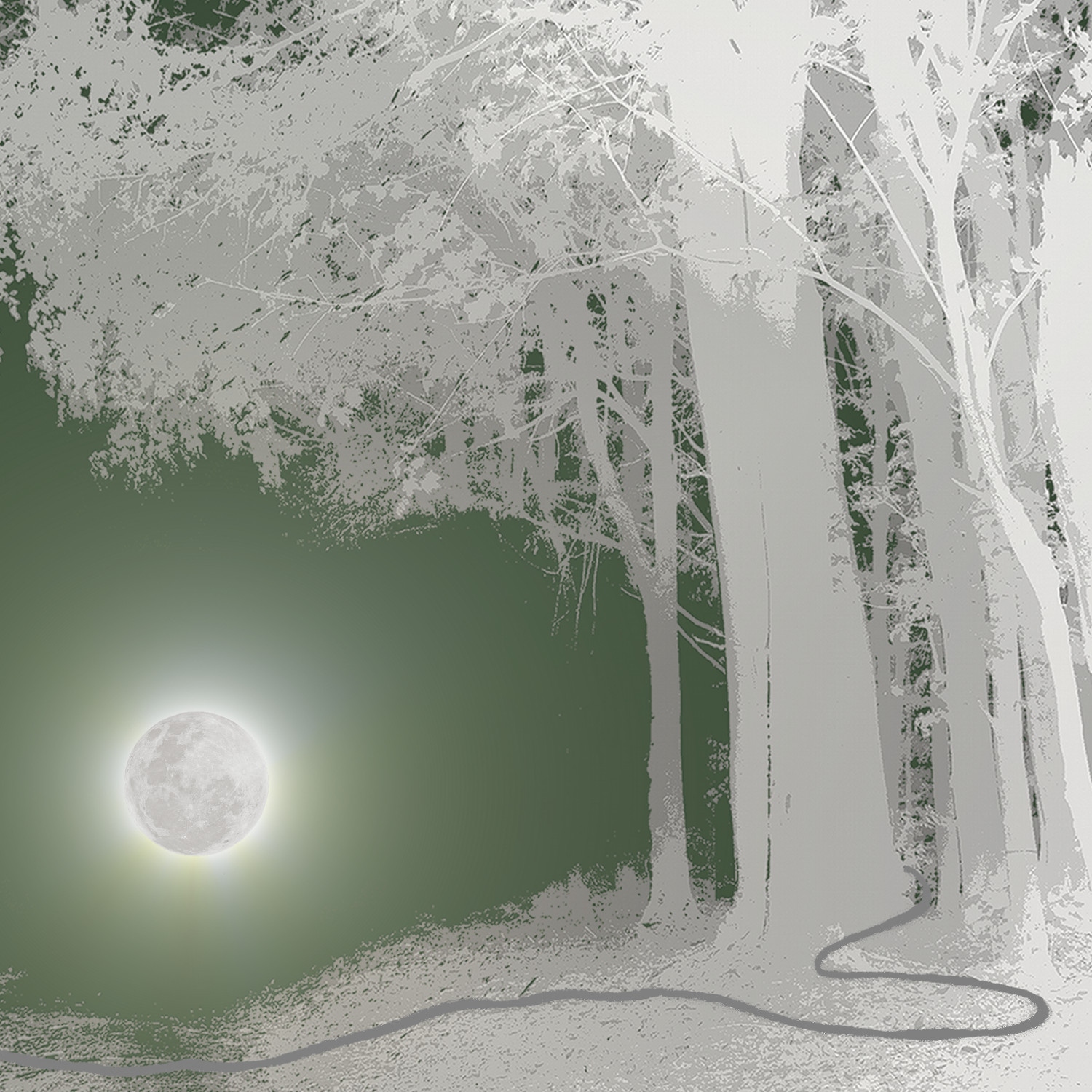 Off_Covers_ElectroforestByNight